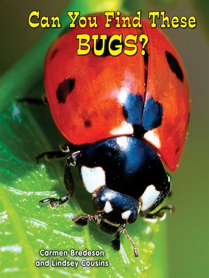 cover image of Can You Find These Bugs?